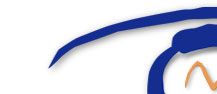 StudioView Logo
